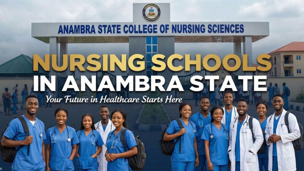 Schools of Nursing in Anambra State