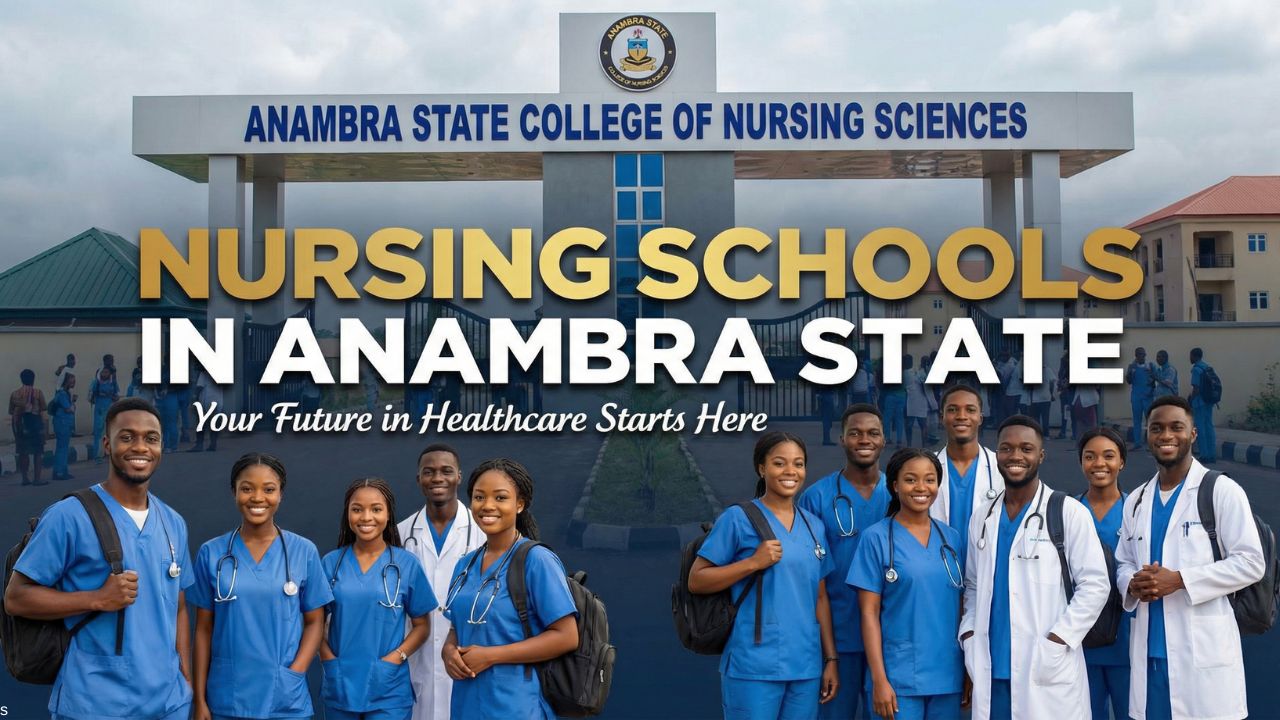 Schools of Nursing in Anambra State